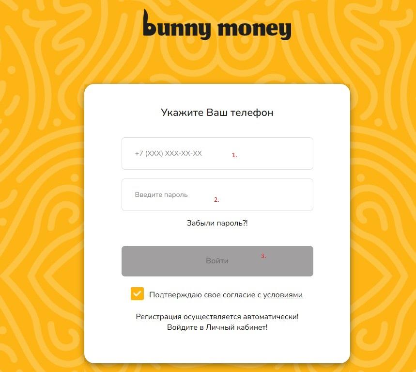 как войти в ЛК BunnyMoney